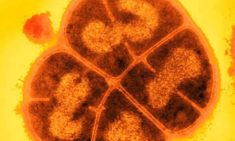 fe98fc5d3682425e29ed29f0119877e7 780x470 1