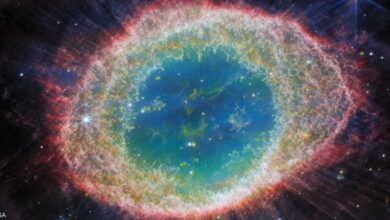 تلسكوب “جيمس ويب” ينشر صورة جديدة للسديم الحلقي 10 983d2938d9ad579418e4d64b2184e9a7 1024x538 1
