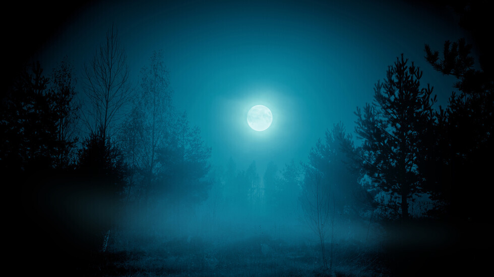 زخات شهب ومذنبات.. أحداث كثيرة تنتظر عشاق الفلك خلال العام 1 b5e0d9f0801982cd26885e3aeedb333e