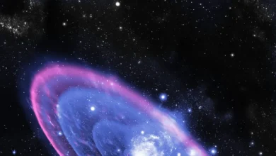 5b086d84 28c8 42c4 b148 83bfc6161ffd