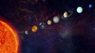 IMG 20240528 104648 968