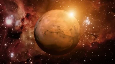 خبير: بيئة المريخ تطور البشر الذين سيعيشون عليه مستقبلاً لنسخ مخيفة من أبناء عمومتهم من سكان الأرض 7 c0671b05 1eaf 4424 8bd7 970549e26135