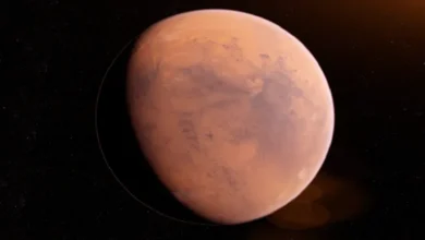 علماء يرصدون "وجها مبتسما" على المريخ 5 345515ef 605b 4bab 9c43 35d34138c3f9
