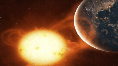 نشاط شمسي ينذر باضطرابات مغناطيسية على كوكبنا 1 1748410473663