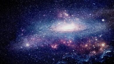 1767019276 695268fc4c59b71666624332