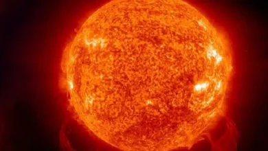 785ba6d4 b71d 4827 bc2f 59a23d02c64c.webp