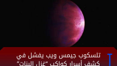 D8AAD8B5D985D98AD985D8A7D984D988D983D8A7D984D8A9D984D8A7D8AED8A8D8A7D8B1D8A7D984D985D988D982D8B9 20260321 110036 D9A0D9A0D9A0D9A0