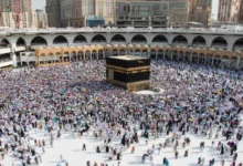 105c48b0 4881 4f34 8471 d2163e524a28.webp