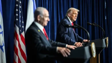 2239b2a0 3555 4245 a584 fe10eed182c9.webp