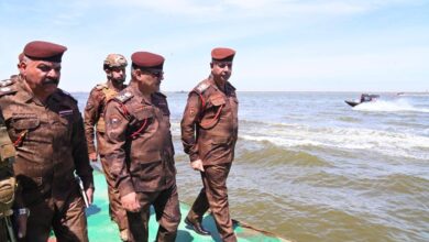 658992848 928837443396872 5859579253402756465 n