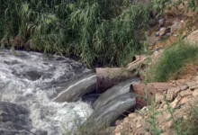 73a6b8cc b474 428b b4b9 733fb36bb2f2