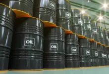 7d1ca537 518a 407b 9e3a 5840cd167361