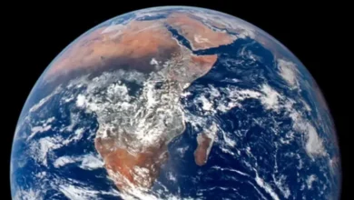 981fb690 a2fb 4f3e aaf9 1b479c0857b6.webp