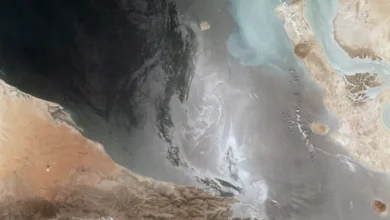 b21cdaad ddc3 4aad bfd3 5941e7446ec8 1